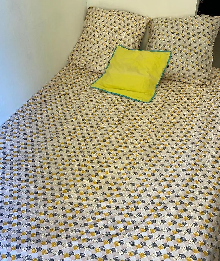 Studio center ville avec ascenseur 3 mins à therme Aix-les-Bains France